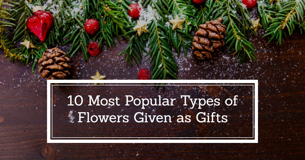 10 Most Popular Types of Flowers Given as Gifts