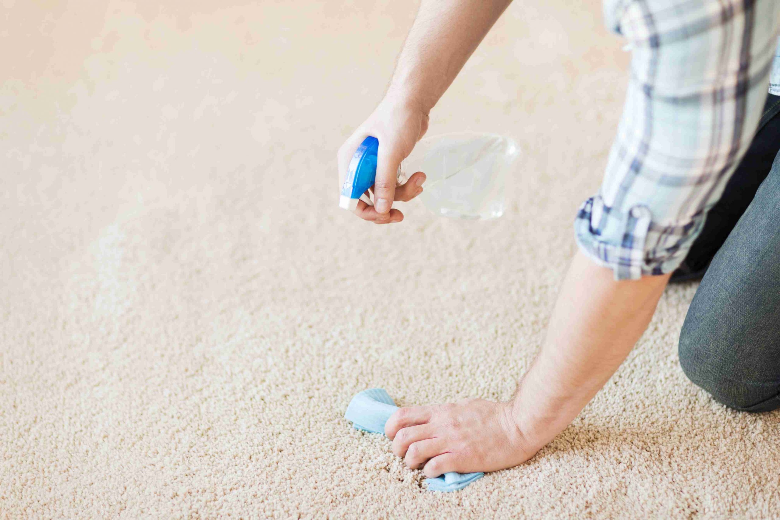 remove stains from carpet