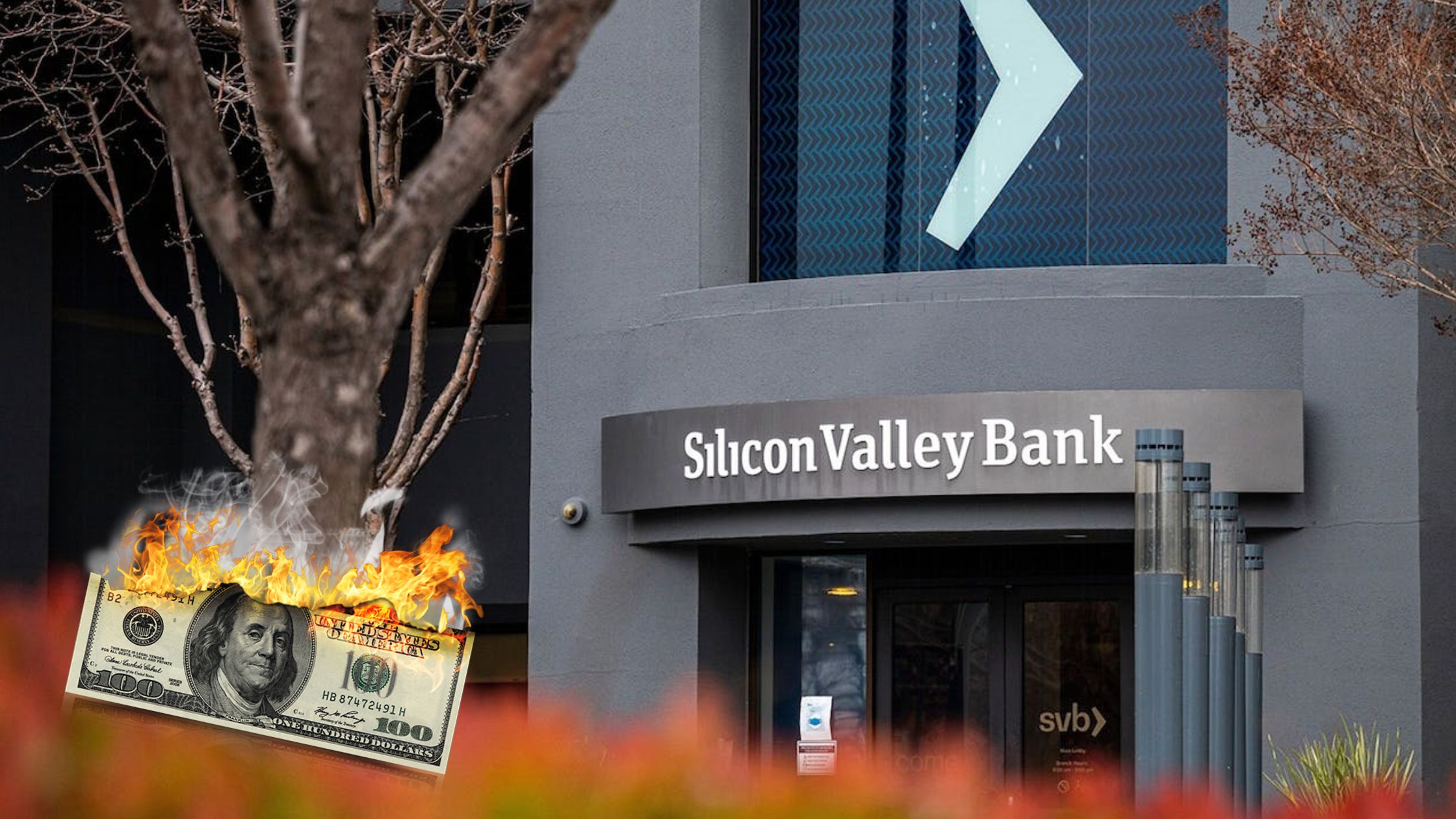 silicon-valley-bank-collapse second largest bank failure in us history