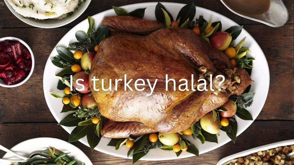 is turkey halal