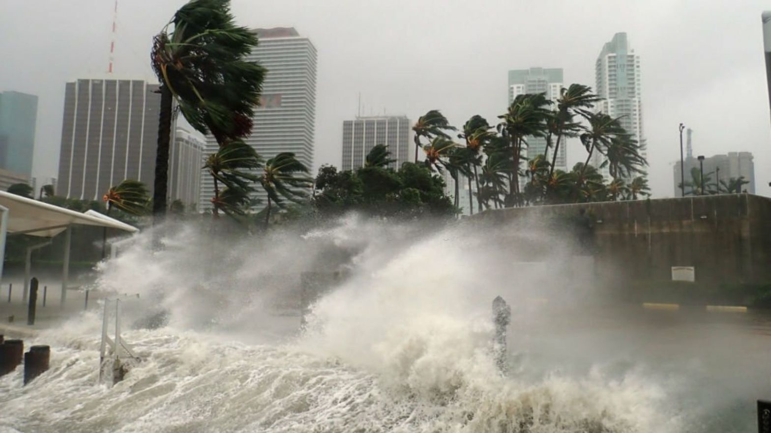 Siesta Key Hurricane Idalia