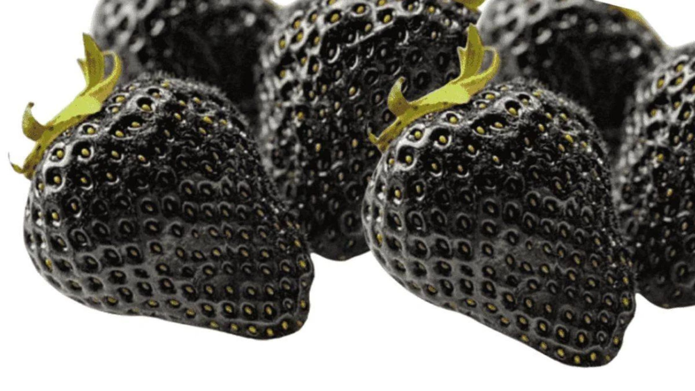 black strawberries