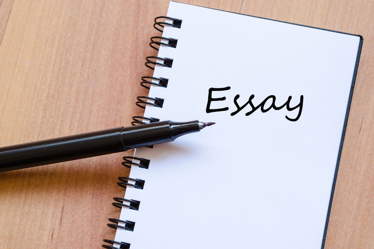 Essay Conclusions